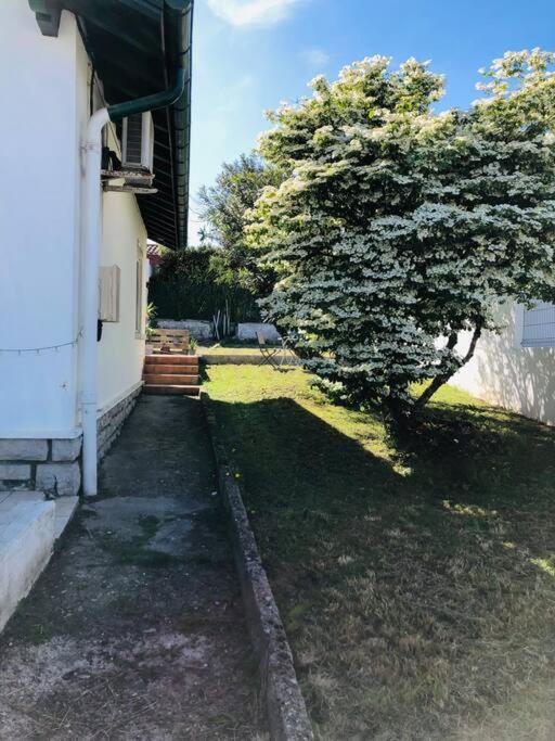 Le Petit Erromardie Saint-Jean-de-Luz Eksteriør billede